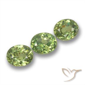 Shop natural 1.43ct Vert chaud Grenat démantoïde gems, ovale, from Namibie at GemSelect. In stock, global shipping!