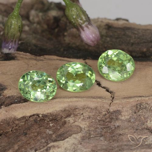 1.14ctw Naturel Forêt verte Grenat démantoïde, ovale, VVS-VS