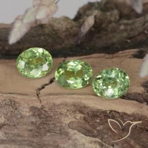 Shop natural 1.14ct Forêt verte Grenat démantoïde gems, ovale, from Namibie at GemSelect. In stock, global shipping!