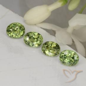 Shop natural 1.67ct Forêt verte Grenat démantoïde gems, ovale, from Namibie at GemSelect. In stock, global shipping!