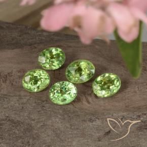 Shop natural 1.68ct Vert chaud Grenat démantoïde gems, ovale, from Namibie at GemSelect. In stock, global shipping!