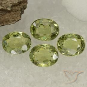Shop natural 1.47ct Olive verte Grenat démantoïde gems, ovale, from Namibie at GemSelect. In stock, global shipping!