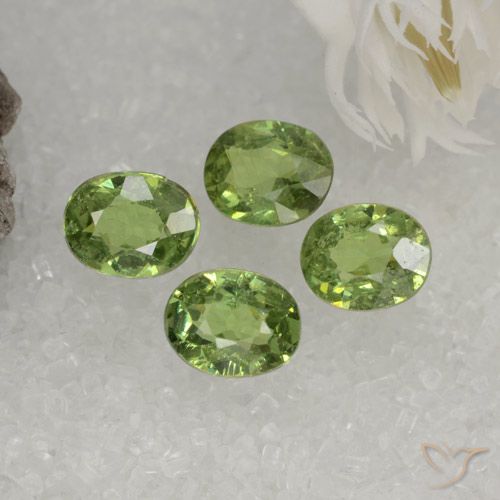 1.61ctw Naturel Vert chaud Grenat démantoïde, ovale, VS