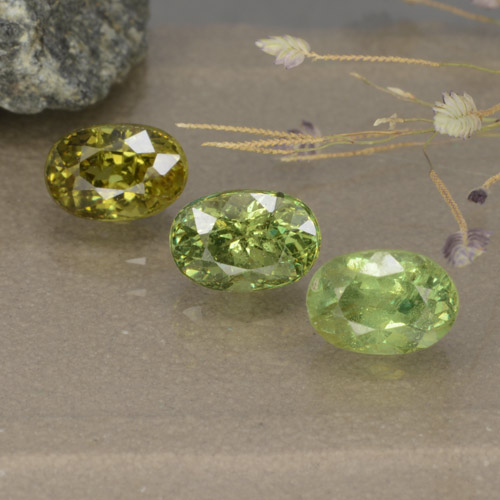 Achetez naturel 2.68ct Vert forêt léger Grenat Démantoïde gems, Coupe ovale, En provenance Namibie chez GemSelect. En stock, livraison internationale!