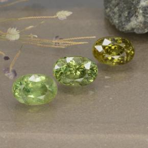 Achetez naturel 2.68ct Vert forêt léger Grenat Démantoïde gems, Coupe ovale, En provenance Namibie chez GemSelect. En stock, livraison internationale!