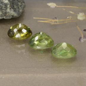 Achetez naturel 2.68ct Vert forêt léger Grenat Démantoïde gems, Coupe ovale, En provenance Namibie chez GemSelect. En stock, livraison internationale!