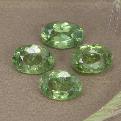 Shop natural 2.56ct Forêt verte Grenat démantoïde gems, ovale, from Namibie at GemSelect. In stock, global shipping!
