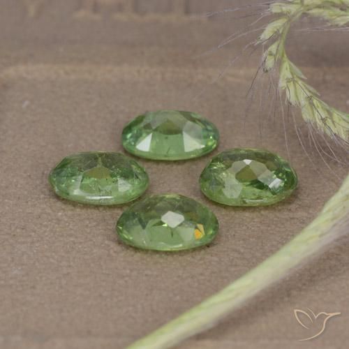 Shop natural 2.56ct Forêt verte Grenat démantoïde gems, ovale, from Namibie at GemSelect. In stock, global shipping!