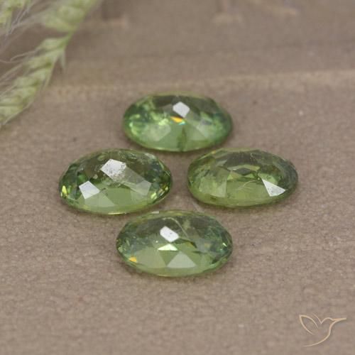 Shop natural 2.74ct Vert moyen Grenat démantoïde gems, ovale, from Namibie at GemSelect. In stock, global shipping!