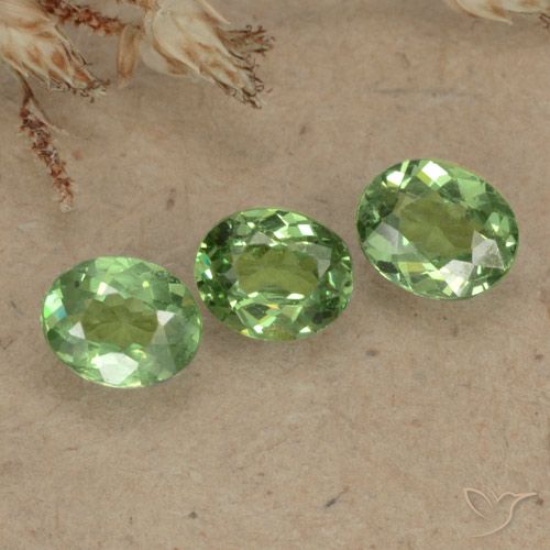 1.00ctw Naturel Vert forêt léger Grenat démantoïde, ovale, VS-SI