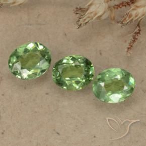 Shop natural 1.00ct Vert forêt léger Grenat démantoïde gems, ovale, from Namibie at GemSelect. In stock, global shipping!