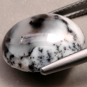 Dendritique Agate Multicolore naturelle Coupe ovale, 6.92 ct, Opaque