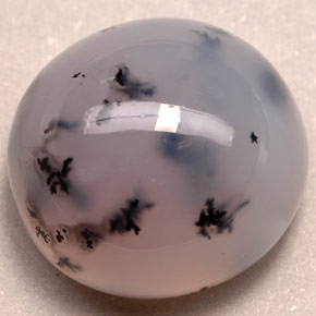 Agate dendritique multicolore naturelle transparent, 33,46 ct, transparent / translucide