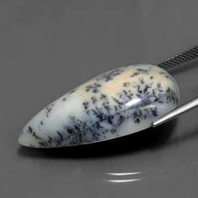 Agate dendritique multicolore naturelle en forme de poire, 29,43 ct, opaque