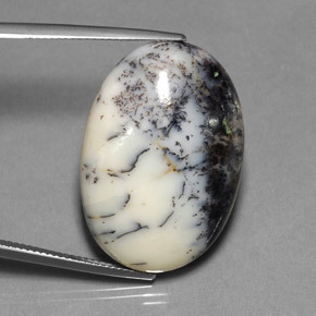 Dendritique Agate Multicolore naturelle Coupe ovale, 30.24 ct, Opaque