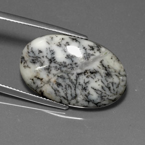 Dendritique Agate Multicolore naturelle Coupe ovale, 15.76 ct, Opaque