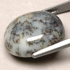 Agate dendritique multicolore naturelle coupe ovale, 12,90 ct, opaque