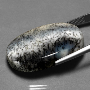 Dendritique Agate Multicolore naturelle Coupe ovale, 41.48 ct, Opaque