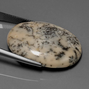Agate dendritique multicolore naturelle coupe ovale, 30,68 ct, opaque