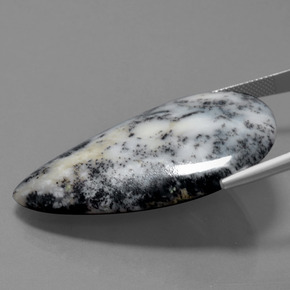 Agate dendritique multicolore naturelle en forme de poire, 57,71 ct, opaque