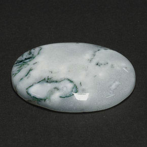Agate dendritique multicolore naturelle coupe ovale, 17,56 ct, opaque