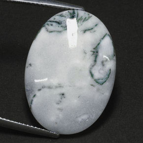 Agate dendritique multicolore naturelle coupe ovale, 17,56 ct, opaque
