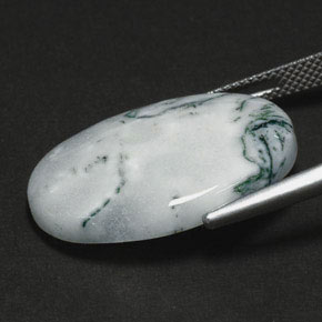 Agate dendritique multicolore naturelle coupe ovale, 17,56 ct, opaque