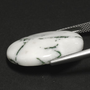 Agate dendritique multicolore naturelle coupe ovale, 17,84 ct, opaque