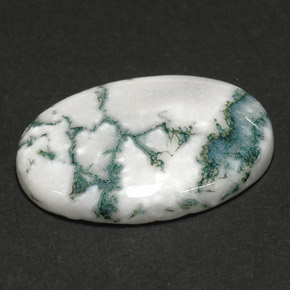 Agate dendritique multicolore naturelle coupe ovale, 17,64 ct, opaque