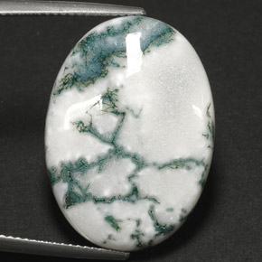 Agate dendritique multicolore naturelle coupe ovale, 17,64 ct, opaque