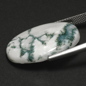 Agate dendritique multicolore naturelle coupe ovale, 17,64 ct, opaque