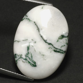 Agate dendritique multicolore naturelle coupe ovale, 17,60 ct, opaque