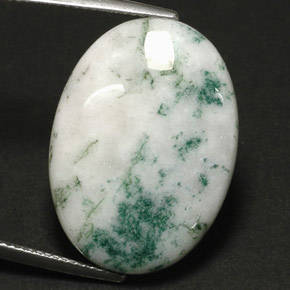 Agate dendritique multicolore naturelle coupe ovale, 17,11 ct, opaque