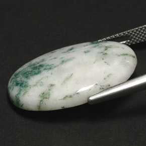 Agate dendritique multicolore naturelle coupe ovale, 17,11 ct, opaque