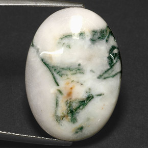 Dendritique Agate Multicolore naturelle Coupe ovale, 17.43 ct, Opaque