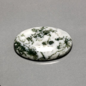 Agate dendritique multicolore naturelle coupe ovale, 16,20 ct, opaque