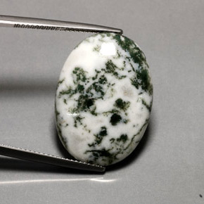 Agate dendritique multicolore naturelle coupe ovale, 16,20 ct, opaque