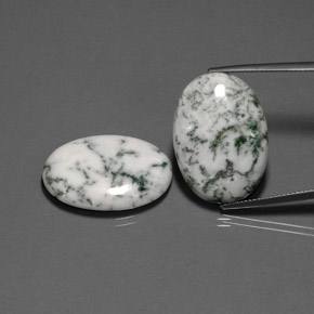 Achetez naturel ct Multicolore Dendritique Agate gems, Coupe ovale, En provenance Inde chez GemSelect. En stock, livraison internationale!