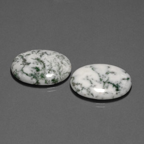 Achetez naturel ct Multicolore Dendritique Agate gems, Coupe ovale, En provenance Inde chez GemSelect. En stock, livraison internationale!