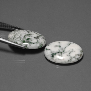 Achetez naturel ct Multicolore Dendritique Agate gems, Coupe ovale, En provenance Inde chez GemSelect. En stock, livraison internationale!