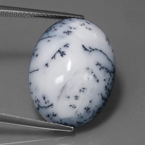 Agate dendritique multicolore naturelle coupe ovale, 15,11 ct, opaque