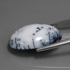 Agate dendritique multicolore naturelle coupe ovale, 15,11 ct, opaque