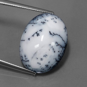 Agate dendritique multicolore naturelle coupe ovale, 15,11 ct, opaque