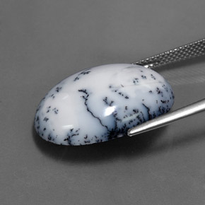 Agate dendritique multicolore naturelle coupe ovale, 15,11 ct, opaque