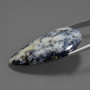 Agate dendritique multicolore naturelle en forme de poire, 57,71 ct, opaque