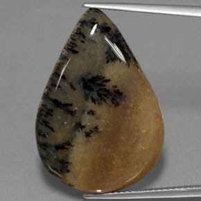 Dendritique Agate Multicolore naturelle En forme de poire, 19.92 ct, Opaque