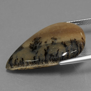 Dendritique Agate Multicolore naturelle En forme de poire, 19.92 ct, Opaque