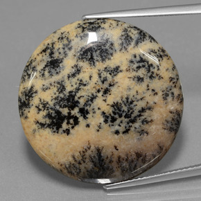 Dendritique Agate Multicolore naturelle Coupe roude, 25.38 ct, Opaque