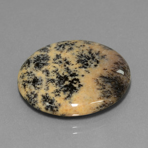 Dendritique Agate Multicolore naturelle Coupe roude, 25.38 ct, Opaque