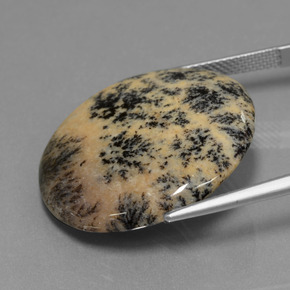 Dendritique Agate Multicolore naturelle Coupe roude, 25.38 ct, Opaque